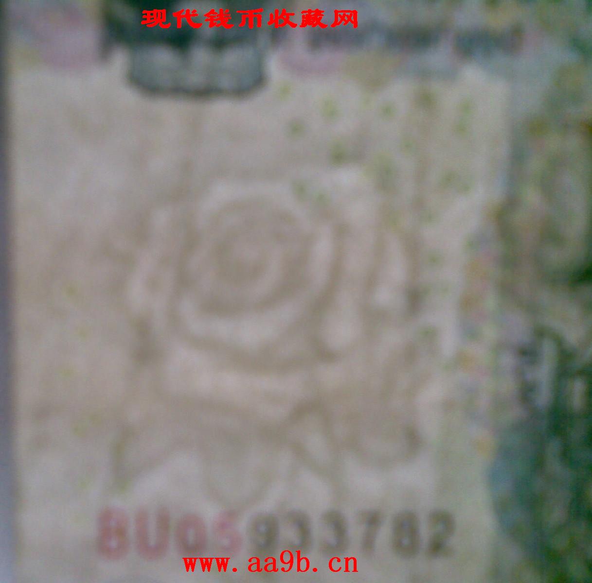 2005年10元错版人民币